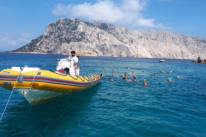 Snorkeling marine protected area Tavolara - Who should book this snorkeling trip?