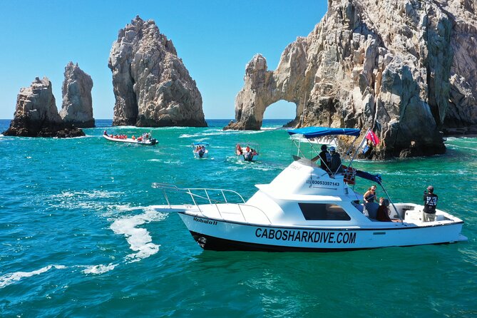 Snorkeling or Swimming with Sharks in Cabo San Lucas - Who should book this Cabo outing?