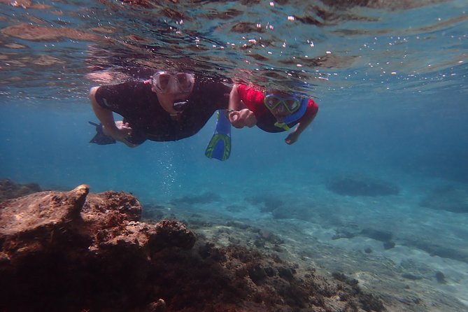 Snorkeling Tour - What you may see below the surface