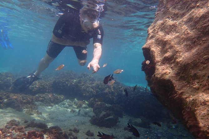 Snorkeling Tour - Why the small group improves the experience