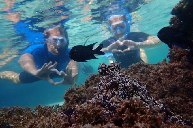 Snorkeling Tour - The equipment, guide, and overall feel