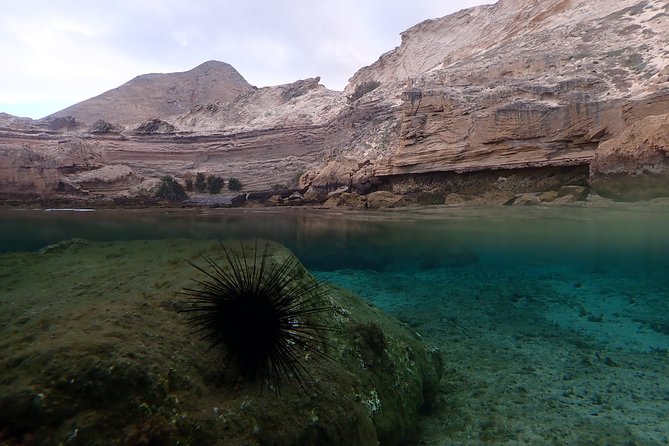 Snorkeling Tour - What the $59.28 price includes