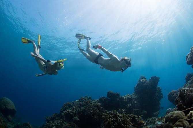Snorkeling Tour at Land's End in Cabo San Lucas - What this Cabo snorkeling trip really offers