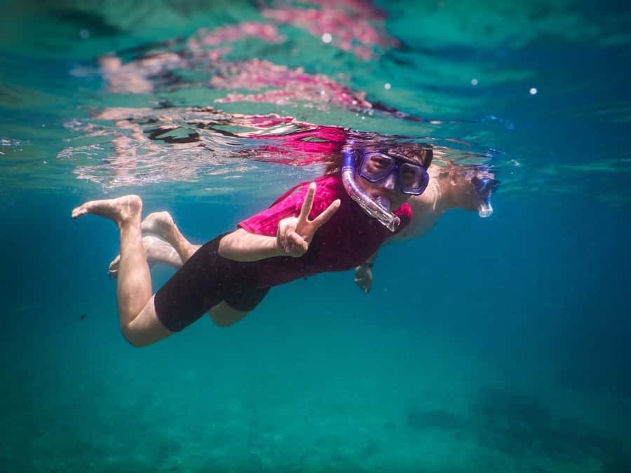 Snorkeling Tour: Discover Sydney’s impressive sea life - After the swim: Clovelly, Gordons Bay, and the coast