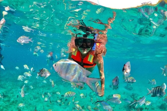 Snorkeling tour Express in Cancun with Certified Guide - What the two-hour boat trip feels like