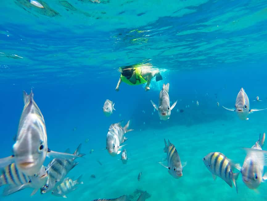 Snorkeling Tour & Sosua Beach Day - Key points to know before booking