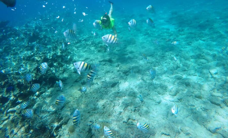 Snorkeling Tour & Sosua Beach Day - Two reefs, one easy beach base