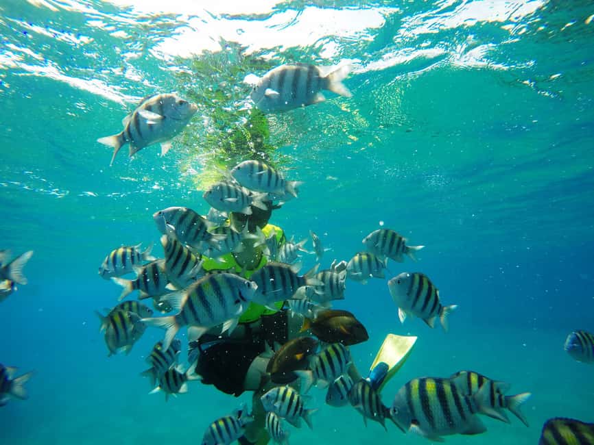 Snorkeling Tour & Sosua Beach Day - Getting ready at Sosua Bay