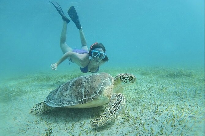 Snorkeling Tour to Vieques Island only 30 minutes away! - Meeting the crew and getting set for the water