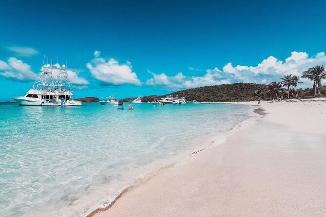Snorkeling Tour to Vieques Island only 30 minutes away! - Snorkeling around Vieques reefs