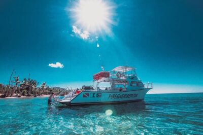 Snorkeling Tour to Vieques Island only 30 minutes away!