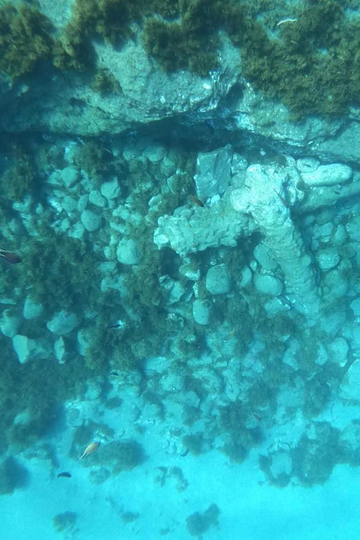 Snorkeling Tour- Vila Franca do Campo Islet - Key points at a glance