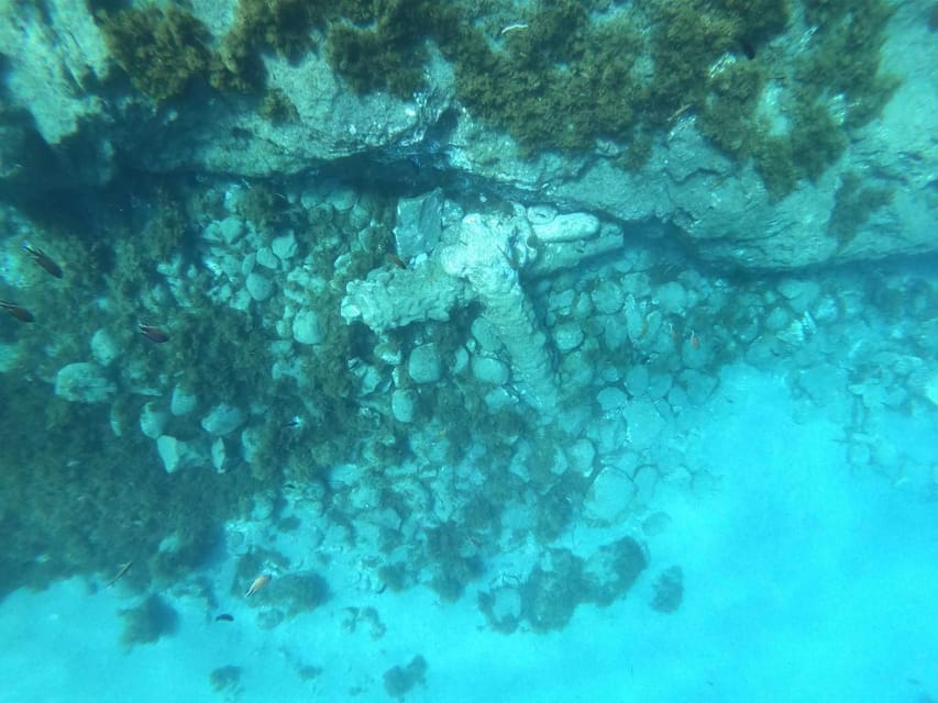 Snorkeling Tour- Vila Franca do Campo Islet - Who should book this outing?