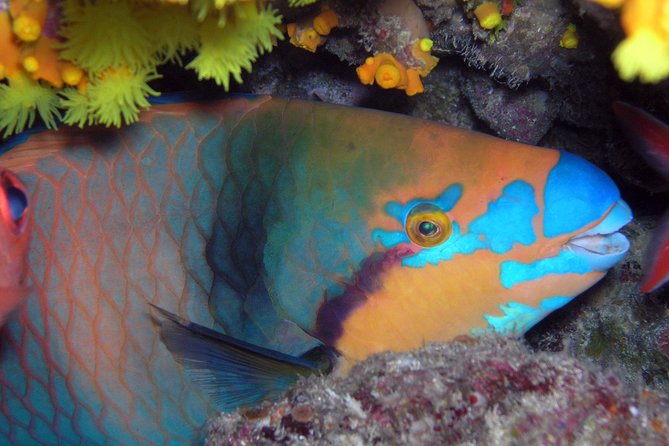 Snorkeling Tour - Entering the protected natural rockpool