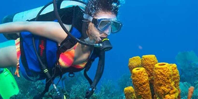 Snorkeling Trip from Polhena Beach, Matara, Sri Lanka - Why Polhena Beach makes a good snorkeling base