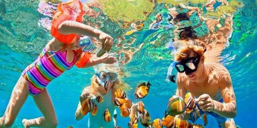 Snorkeling Trip from Polhena Beach, Matara, Sri Lanka - The best part: swimming near sea turtles