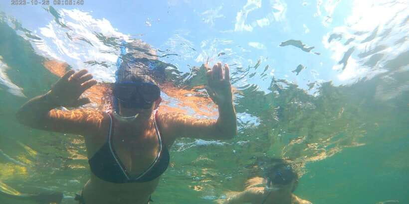 Snorkeling Trip from Polhena Beach, Matara, Sri Lanka - Who should book this Polhena snorkeling trip?
