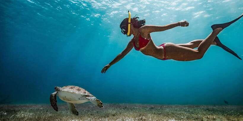 Snorkeling Trip from Polhena Beach, Matara, Sri Lanka - What happens during the 1.5-hour outing