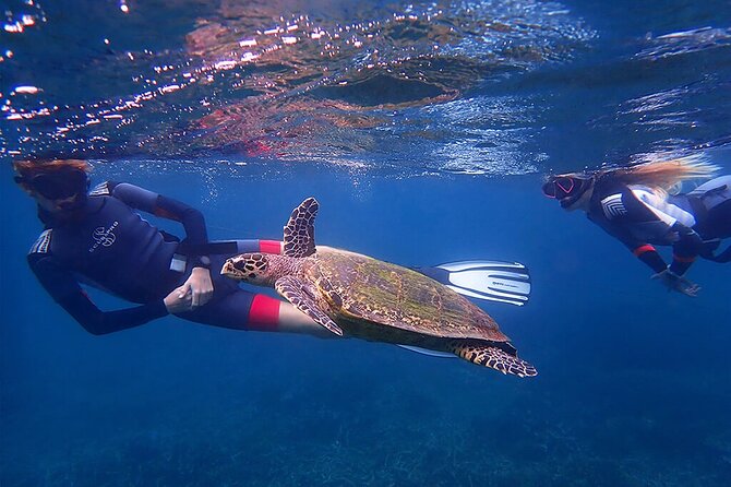 Snorkeling Trip To Pigeon Island - Who should book this snorkeling trip?