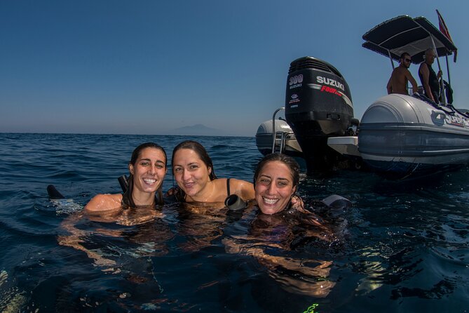 Snorkeling with Marine Biologist Expert from Sorrento - Why this is more than a quick swim in Sorrento