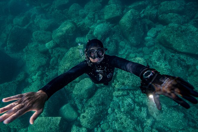 Snorkeling with Marine Biologist Expert from Sorrento - Is the $115 price fair?