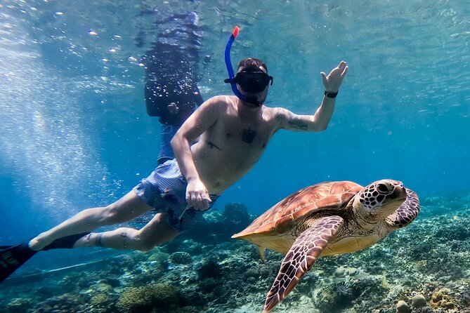 Snorkeling with turtle and statue in Gilis - Coral and fish add variety to the morning