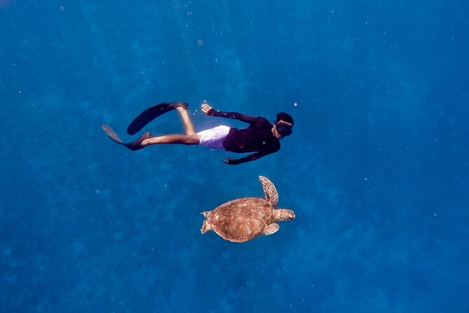 Snorkeling with turtle and statue in Gilis - Morning, afternoon, or a longer island outing