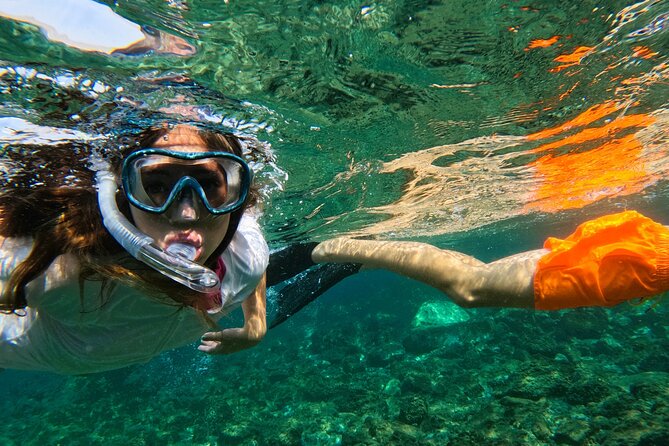 Snorkeling with turtles in Fujairah with BBQ lunch - Snoopy Island: your first look below the surface