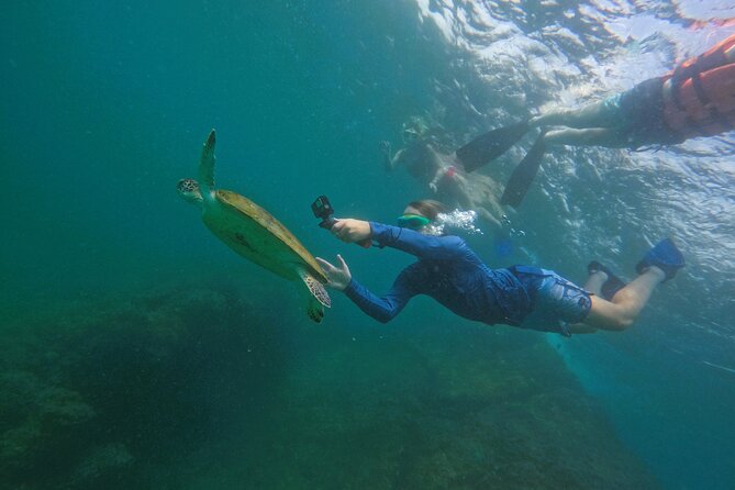 Snorkeling with turtles in Fujairah with BBQ lunch - The boat setup and what you get between sessions