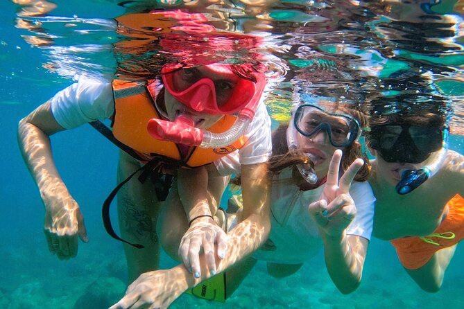 Snorkeling with turtles in Fujairah with BBQ lunch - Is $95 a fair price?