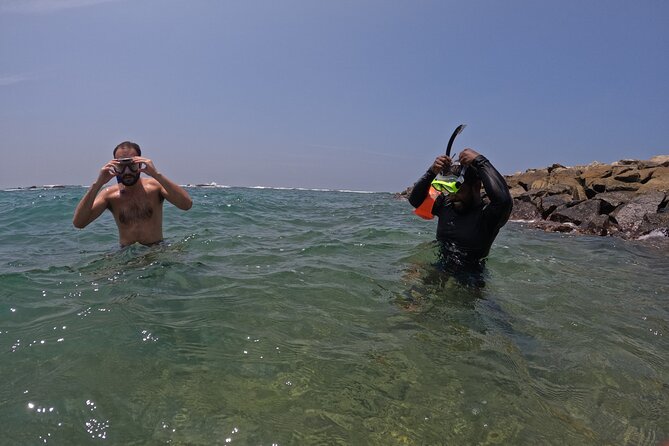 Snorkeling with Turtles in Mirissa - Underwater photos and videos after the swim