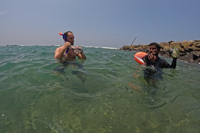 Snorkeling with Turtles in Mirissa - Who should book this Mirissa snorkeling trip