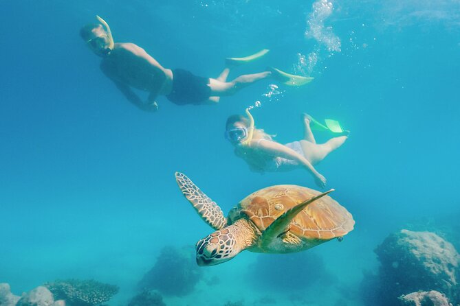 Snorkelling and Glass Bottom Boat at Green Island from Cairns - Weather can change the reef experience
