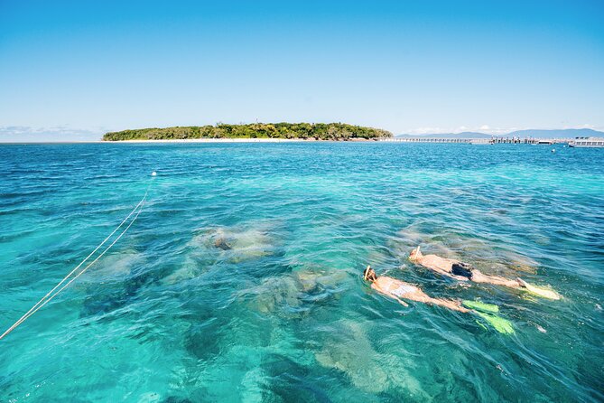 Snorkelling and Glass Bottom Boat at Green Island from Cairns - Who will get the most from this experience