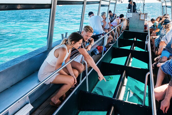 Snorkelling and Glass Bottom Boat at Green Island from Cairns - What the snorkeling is really like