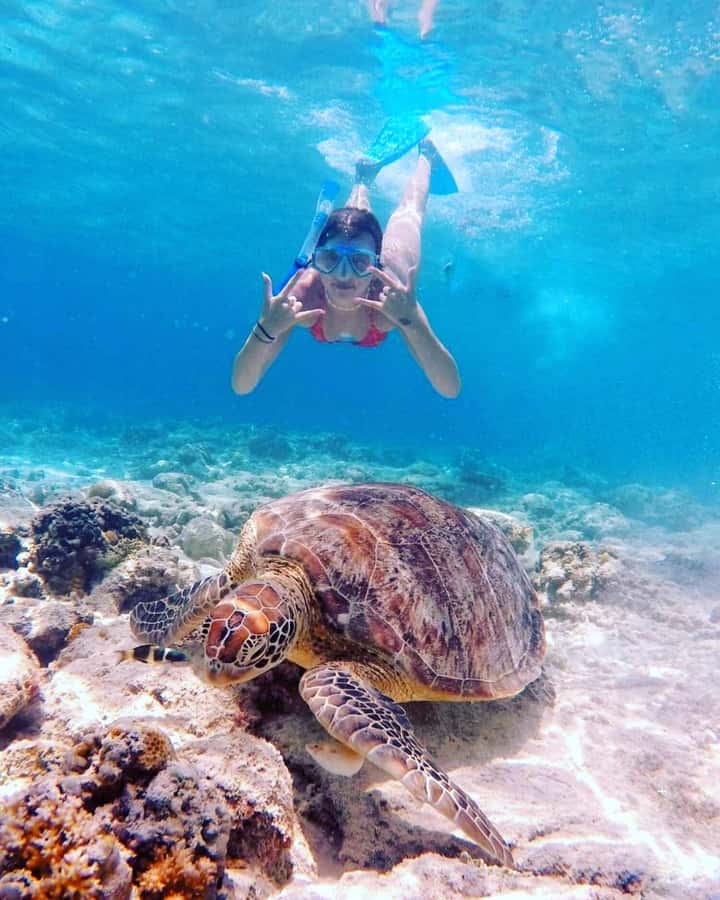 Snorkelling Gili Trawangan, Gili Air & Gili Meno from Lombok - Gili Air, fish gardens, and time to eat