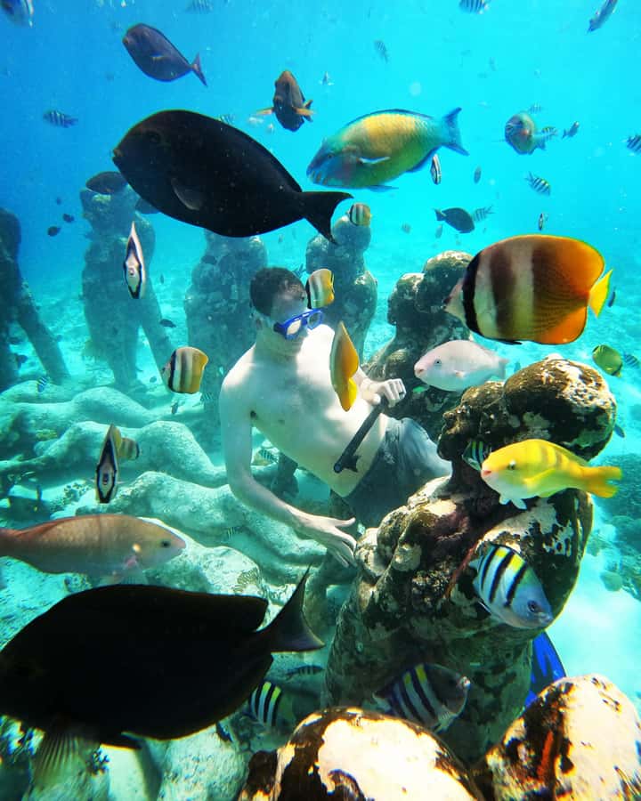 Snorkelling Gili Trawangan, Gili Air & Gili Meno from Lombok - Who should book this tour?