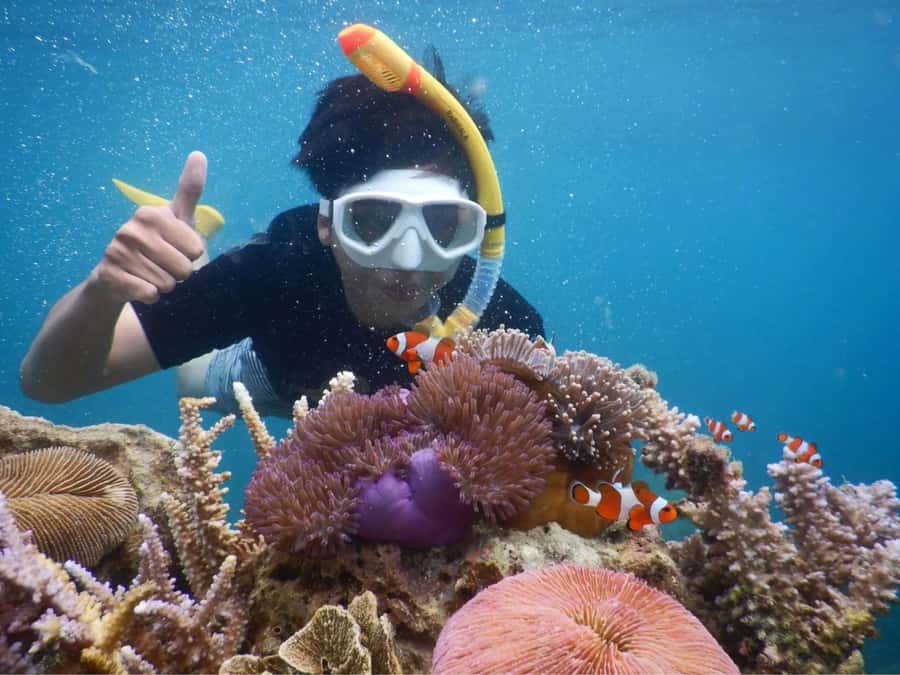Snorkelling & islandhopping tour Karimunjawa (sharing tour) - Meeting at the harbour near Alun Alun