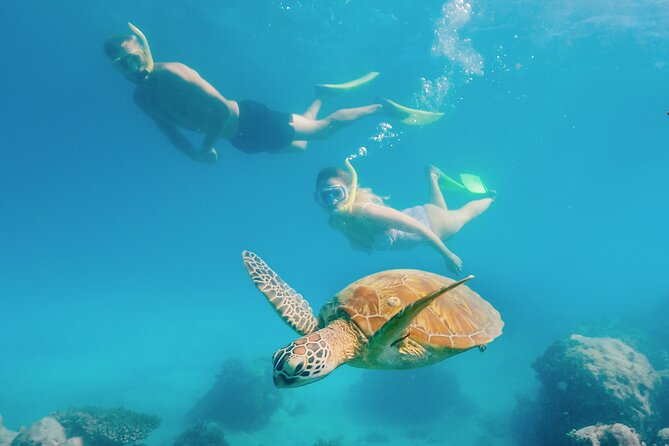 Snorkelling or Glass Bottom Boat at Green Island from Cairns - Green Island in a nutshell