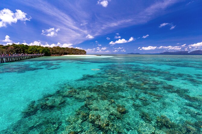 Snorkelling or Glass Bottom Boat at Green Island from Cairns - Who will enjoy this trip most?