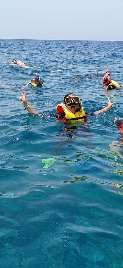 Snorkelling trip with certificate local guide - Should you book this snorkelling trip?
