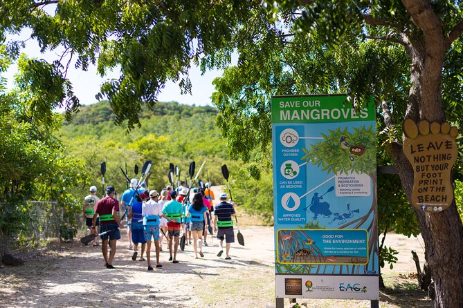 SoCoHo Eco Half Day - Mangrove Kayak & Reef Snorkeling - Snorkeling at Cades Reef