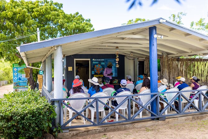 SoCoHo Eco Half Day - Mangrove Kayak & Reef Snorkeling - Snacks, rum punch, and the optional lunch