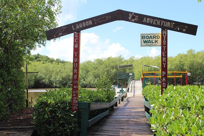 SoCoHo Eco Half Day - Mangrove Kayak & Reef Snorkeling - Who will enjoy this half-day outing
