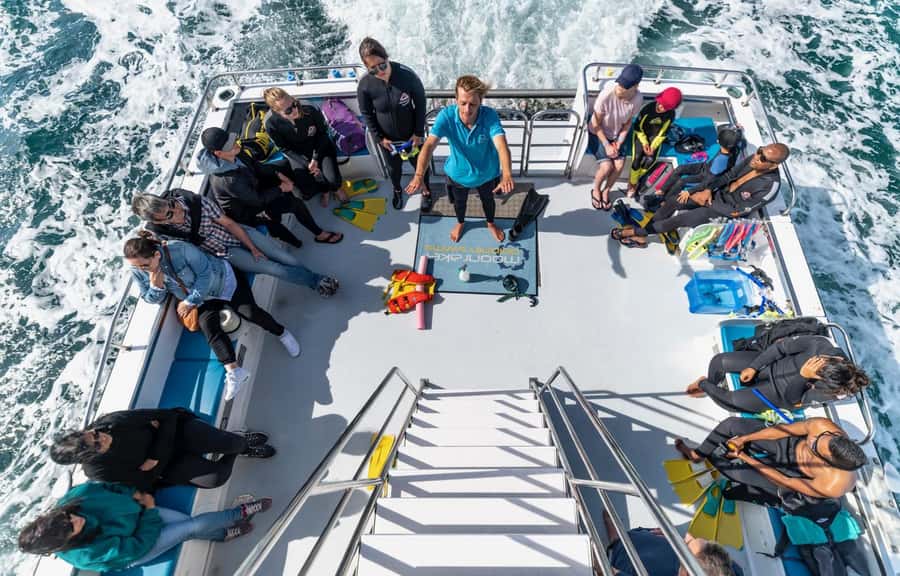 Sorrento: Dolphins & Seals Snorkeling Cruise w/ Lunch - Practical tips for a smoother outing