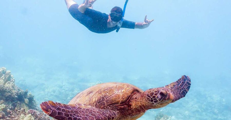 South Maui: Molokini Snorkeling Adventure - Molokini Crater and the first water session