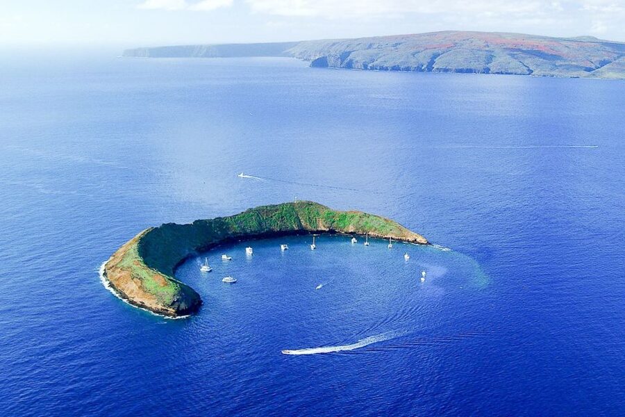 South Maui: Molokini & Turtle Town Snorkeling Tour with Meal - Why Molokini is worth the boat ride