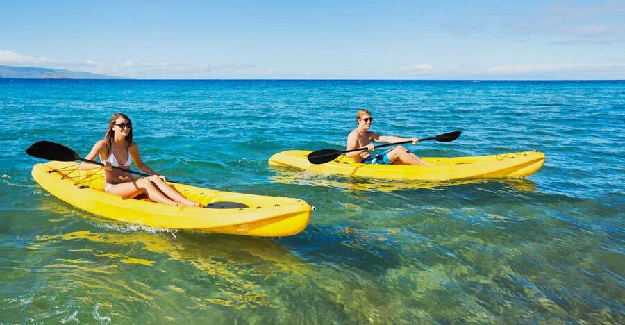 South Maui: Premium Turtle Town Kayak and Snorkel Tour - Why Turtle Town works better than you might expect