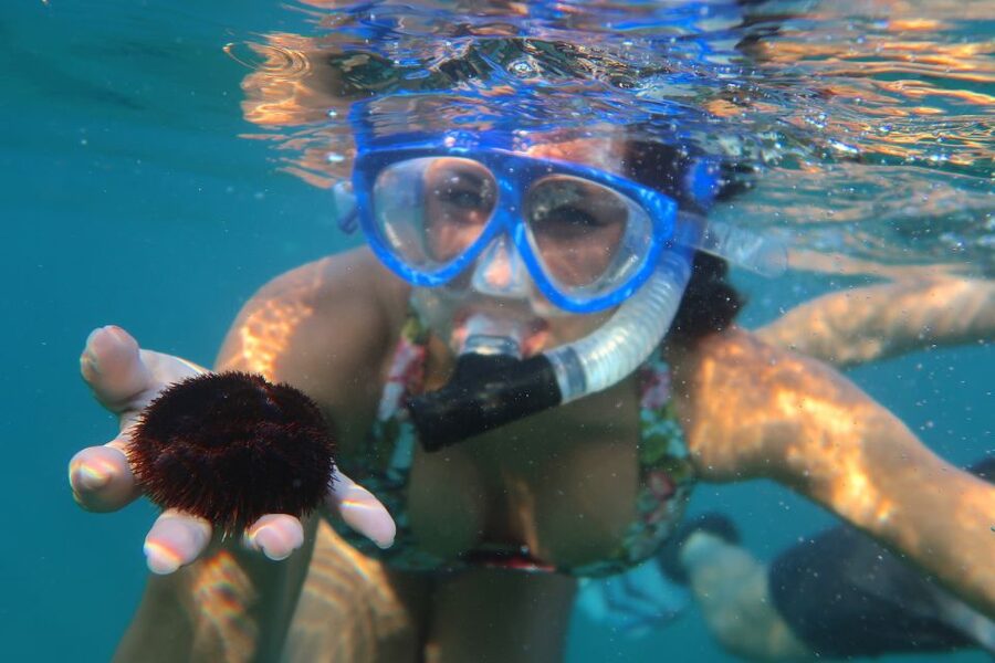 South Maui: Premium Turtle Town Kayak and Snorkel Tour - Winter whales from a kayak