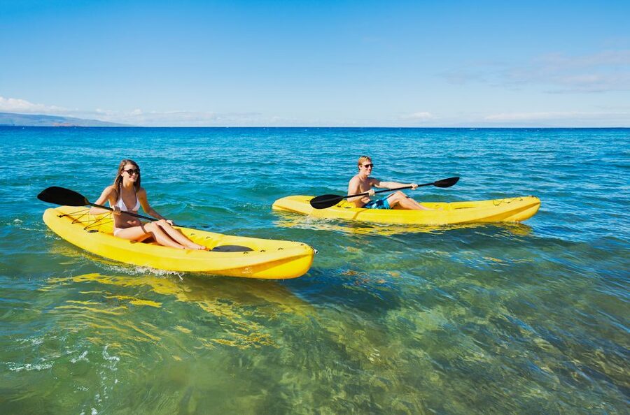 South Maui: Premium Turtle Town Kayak and Snorkel Tour - Booking flexibility and practical cautions